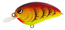 Load image into Gallery viewer, Little John Type-R