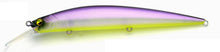 Load image into Gallery viewer, Level Minnow Plus
