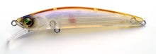 Load image into Gallery viewer, Level Minnow Quick 72