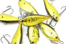 Load image into Gallery viewer, LV RTO 170