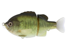 Load image into Gallery viewer, Tiny Bull Shooter