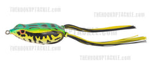 Load image into Gallery viewer, Bronzeye Frog