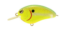 Load image into Gallery viewer, Little John