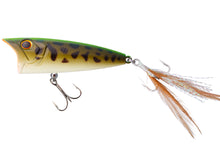 Load image into Gallery viewer, Louder