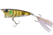 Load image into Gallery viewer, Louder