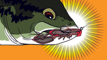 Load image into Gallery viewer, Sleeper Craw