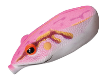 Load image into Gallery viewer, Potofu Tiny Frog