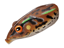 Load image into Gallery viewer, Potofu Baby Frog