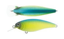 Load image into Gallery viewer, Reazzy