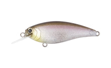 Load image into Gallery viewer, Reazzy