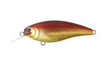 Load image into Gallery viewer, Reazzy