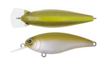 Load image into Gallery viewer, Reazzy