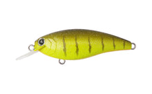 Load image into Gallery viewer, Reazzy