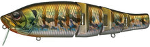 Load image into Gallery viewer, Royal Flash Jr.