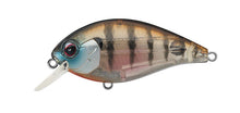Load image into Gallery viewer, SH-3 Squarebill Crankbait