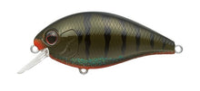 Load image into Gallery viewer, SH-3 Squarebill Crankbait