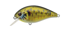 Load image into Gallery viewer, SH-3 Squarebill Crankbait