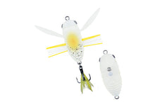 Load image into Gallery viewer, Shinmushi