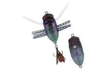 Load image into Gallery viewer, Shinmushi