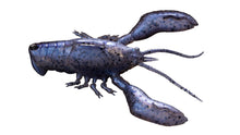 Load image into Gallery viewer, Sleeper Craw