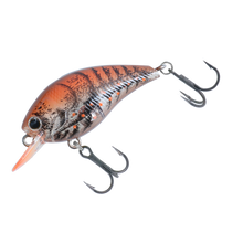 Load image into Gallery viewer, Steez Square 100