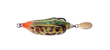 Load image into Gallery viewer, Spintail Frog