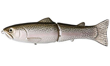 Load image into Gallery viewer, Slide Swimmer 250