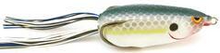 Load image into Gallery viewer, Bronzeye Shad