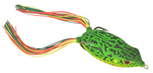 Load image into Gallery viewer, Bronzeye Frog
