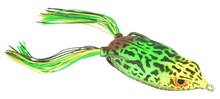 Load image into Gallery viewer, Bronzeye Frog