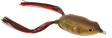 Load image into Gallery viewer, Bronzeye Frog