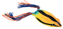 Load image into Gallery viewer, Bronzeye Frog
