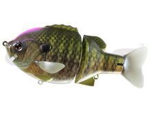 Load image into Gallery viewer, Bull Shooter 160 Floating