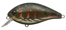 Load image into Gallery viewer, Combat Crank Shallow Hawg