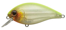 Load image into Gallery viewer, Combat Crank Shallow Hawg