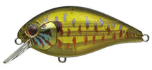 Load image into Gallery viewer, Combat Crank Shallow Hawg