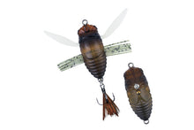 Load image into Gallery viewer, Shinmushi