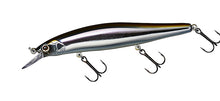 Load image into Gallery viewer, Steez Minnow 110SP DR