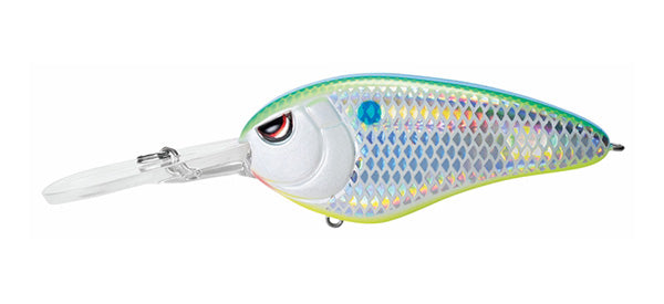 Little John Super DD – The Hook Up Tackle
