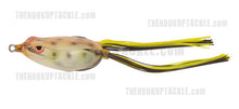 Load image into Gallery viewer, Bronzeye Frog