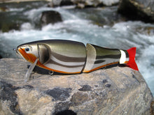 Load image into Gallery viewer, Trick