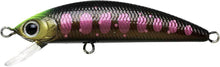 Load image into Gallery viewer, Humpback Minnow 50S