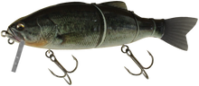 Load image into Gallery viewer, Baby Bassroid