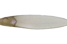 Load image into Gallery viewer, Liar Minnow Flat