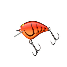 Load image into Gallery viewer, Bling 55