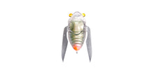 Load image into Gallery viewer, Nano Siglett