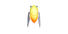 Load image into Gallery viewer, Nano Siglett
