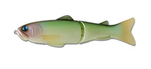 Load image into Gallery viewer, Slide Swimmer 175