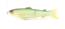 Load image into Gallery viewer, Slide Swimmer 175