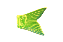 Load image into Gallery viewer, Dowz Swimmer 180 Spare Tail